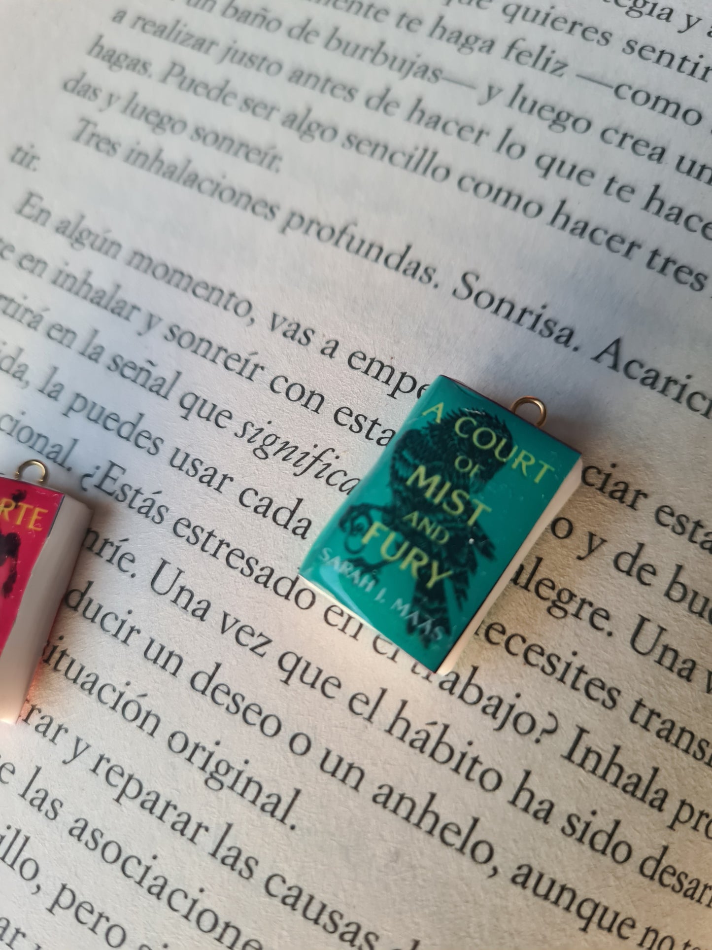 Brincos de livro (personalizados) - Joias artesanais personalizadas - Coleção BookLovers: Circus X Blay