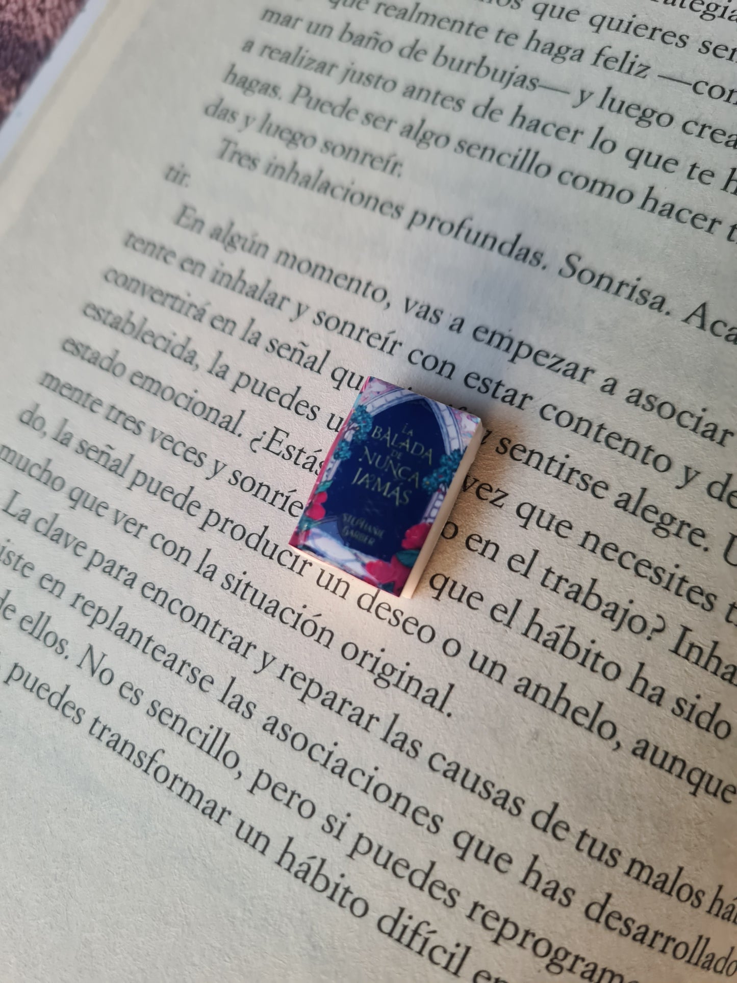 Brincos de livro (personalizados) - Joias artesanais personalizadas - Coleção BookLovers: Circus X Blay