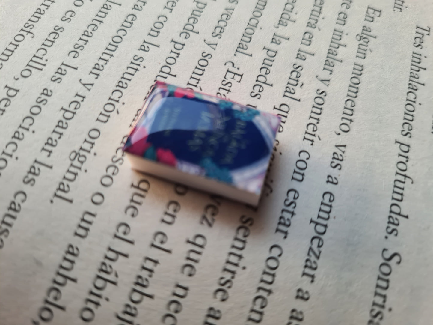 Brincos de livro (personalizados) - Joias artesanais personalizadas - Coleção BookLovers: Circus X Blay