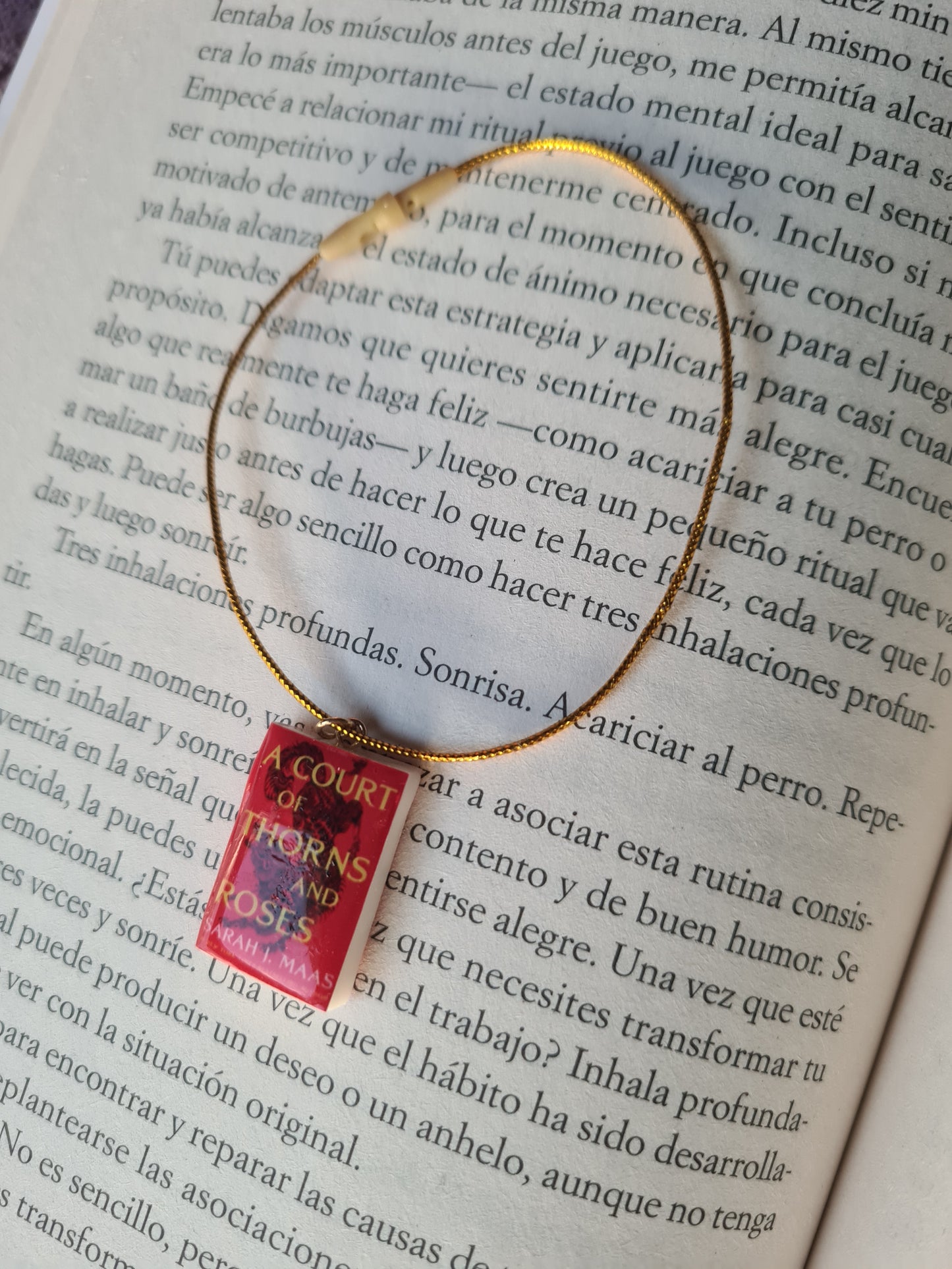 Book Earrings (Personalized) - Custom Handmade Jewelry - BookLovers Collection: Circus X Blay