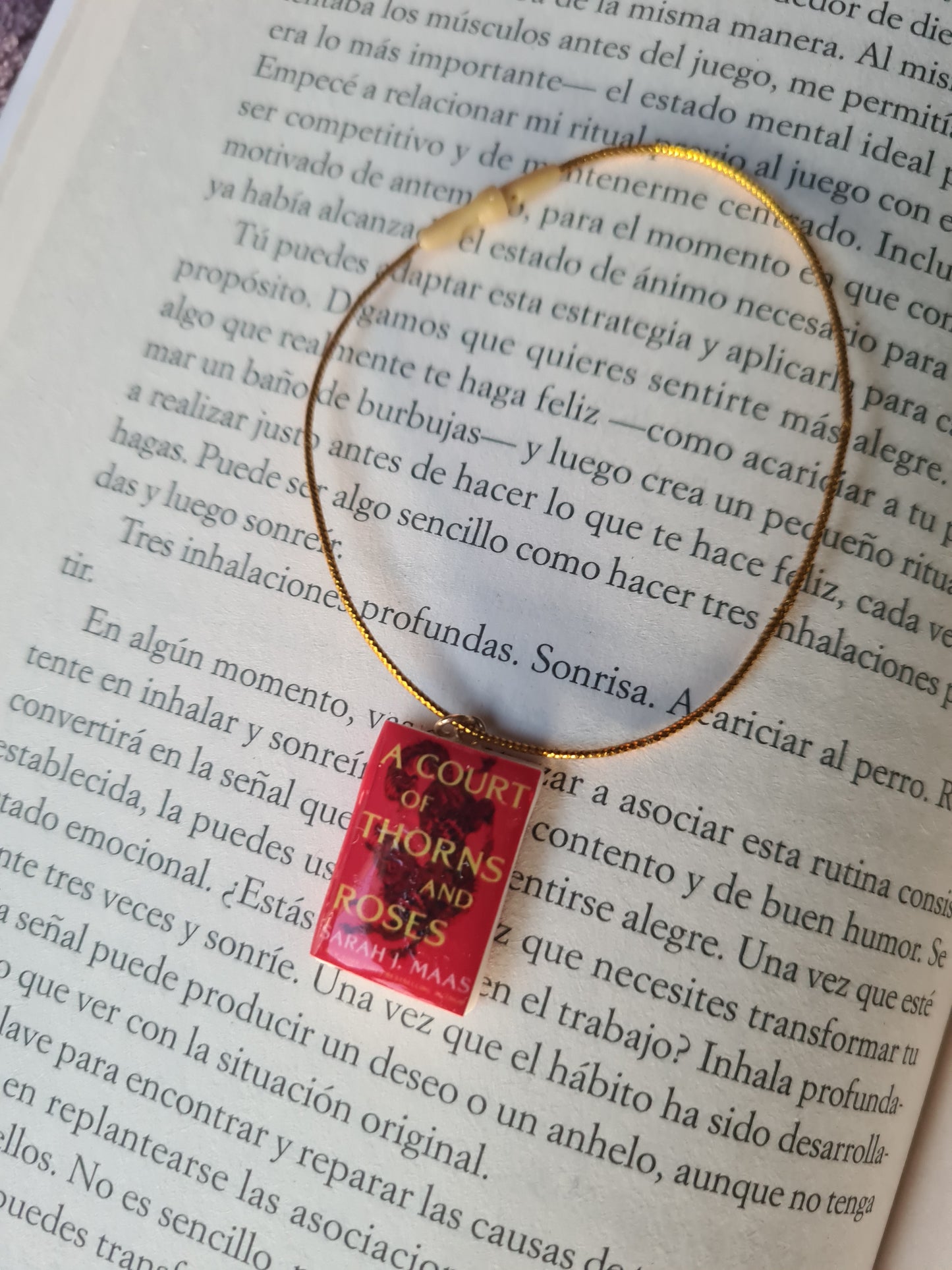 Book Earrings (Personalized) - Custom Handmade Jewelry - BookLovers Collection: Circus X Blay