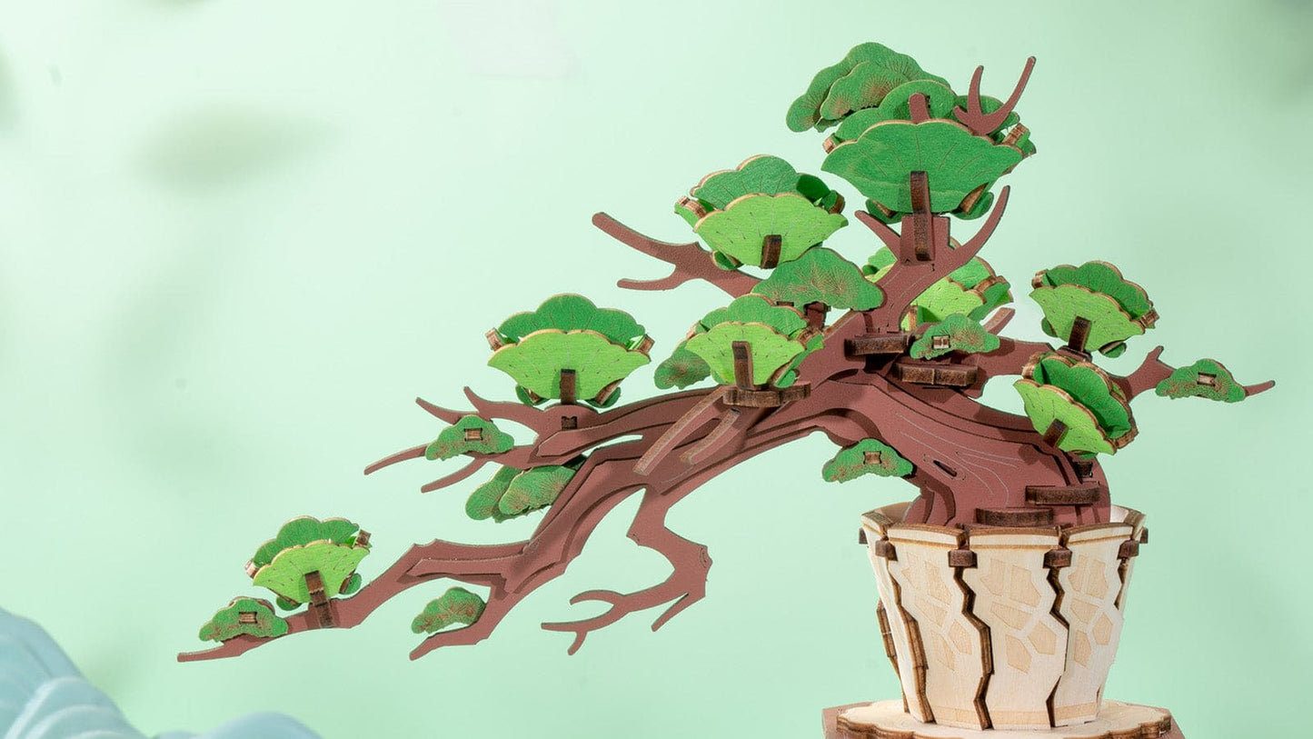 Evergreen Pine Bonsai - Flores de madera