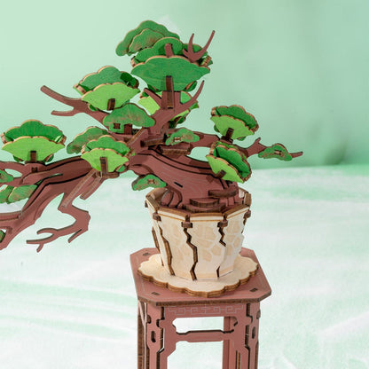 Evergreen Pine Bonsai - Flores de madera
