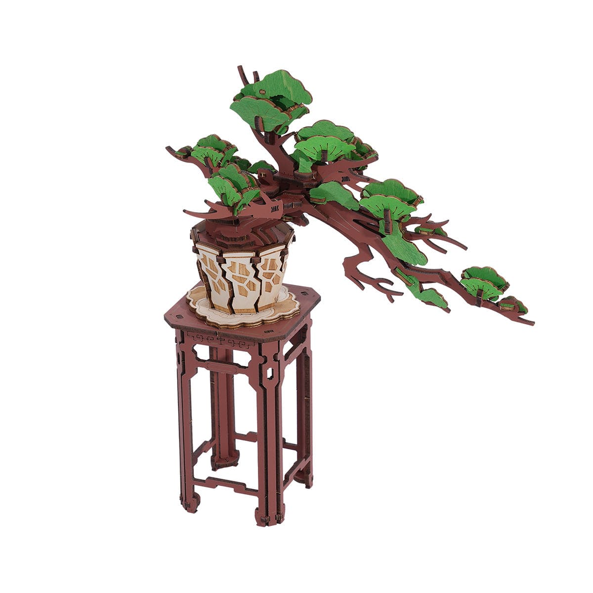 Evergreen Pine Bonsai - Flores de madera